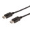 Cavo di Connessione DisplayPort M/10 m - kport1-10 1