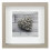 Hama Fotolijst - Hama - Scala - MDF - Taupe - 15 x 15 cm - Reflecterend 1
