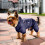 Hundekapuzenmantel XS blau Baumwoll-Polyester 6