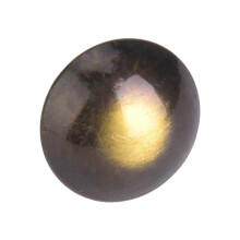 Dekor-Nägel, 100 Stück, Polster-Nägel mit Rundkopf, dickem Kopf, Möbelnägel, 19x23mm