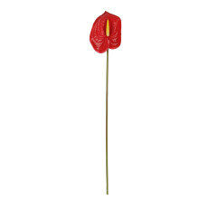 3D-Simulation Anthurium Seidenblume 60 cm 32 g pink