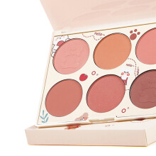 6-Farben-Softkontur-Highlight-Matte-Gesichtspuder für Frauen - Pigmentiertes Rouge-Palette als Geschenk