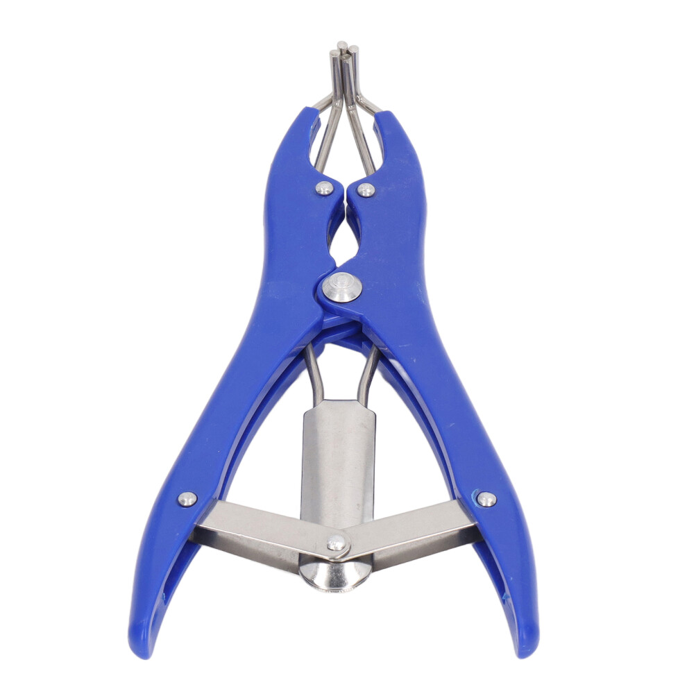 Castration Pliers Kit With 100 Rubber Rings, 21.5X10.5cm 8741341491448