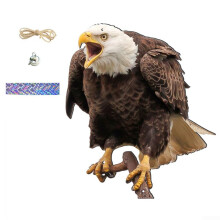 Realistic Owl Decoy for Garden Scare, Acrylic Outdoor Decoration with Hanging Strap for Patios, Balconies, and Yards