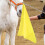 2PCS Equestrian Nylon Training Flags, Abrasion Resistant, Yellow 3