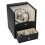 AC100-240V Automatic Watch Winder Rotator Storage Case Display Box Organizer 2+2 Mechanical 6