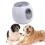 Automatic Dog Ball Launcher, Adjustable 3 Levels, Grey EU Plug 6
