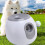 Automatic Dog Ball Launcher, Adjustable 3 Levels, Grey EU Plug 1