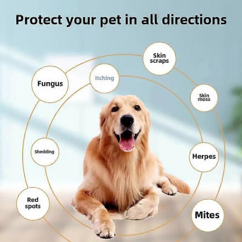 (1pc)1-3pcs Against Scabies for Dogs Antibacterial Spray 2