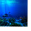 Adhesive Seaworld Background Poster for Aquarium 15