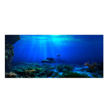 Adhesive Seaworld Background Poster for Aquarium