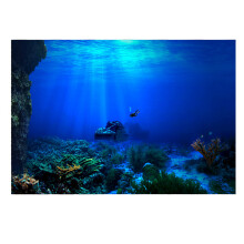 Adhesive Seaworld Background Poster for Aquarium