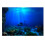 Adhesive Seaworld Background Poster for Aquarium 1