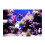 3D Effect Adhesive Coral Seaworld Poster for 1