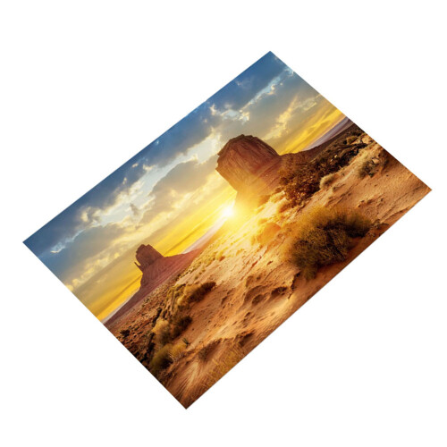 Sun and Desert Style Aquarium Fish Tank Background 2