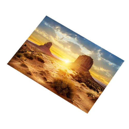 Sun and Desert Style Aquarium Fish Tank Background 1