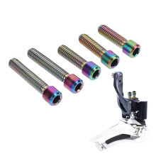 5 Stück Schaltschrankschrauben M4, 3 Stück 13,5 mm, 2 Stück 20 mm, Titanlegierung, rostfrei, einfache Montage, Käfigschrauben für Mountainb