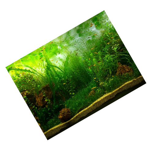 Water Grass Style Aquarium Fish Tank Background 1