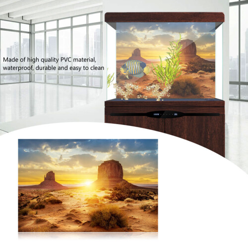 Sun and Desert Style Aquarium Fish Tank Background 2
