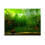 Water Grass Style Aquarium Fish Tank Background 1