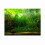 Water Grass Style Aquarium Fish Tank Background 1