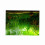 Water Grass Style Aquarium Fish Tank Background 9
