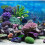 PVC Adhesive Underwater Coral Aquarium Fish Tank 15