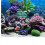 PVC Adhesive Underwater Coral Aquarium Fish Tank 14