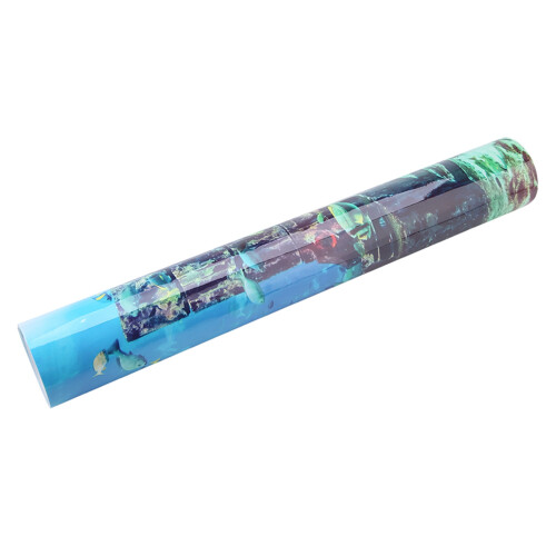 Coral Aquarium Background Underwater Poster Fish 2