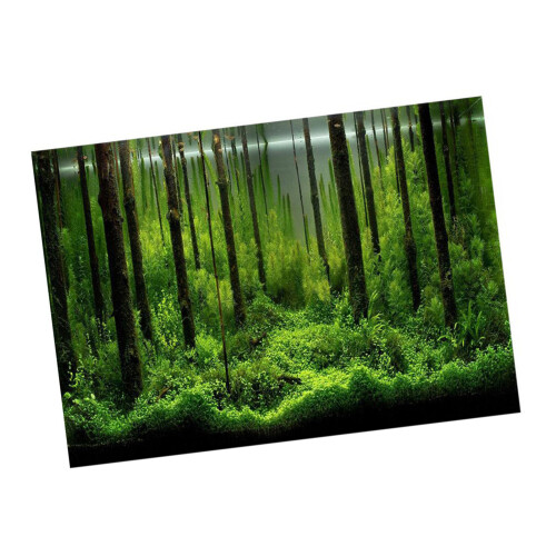 PVC Adhesive Underwater Forest Tank Background 2