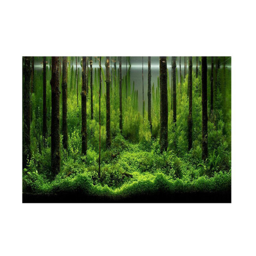 PVC Adhesive Underwater Forest Tank Background