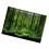 PVC Adhesive Underwater Forest Tank Background 9