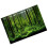 PVC Adhesive Underwater Forest Tank Background 7