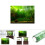 Water Grass Style Aquarium Fish Tank Background 9