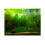 Water Grass Style Aquarium Fish Tank Background 1
