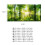 3D Effect Adhesive Forest Poster for Aquarium Fish 2