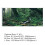 PVC Adhesive Riverway Green Woods Aquarium 11