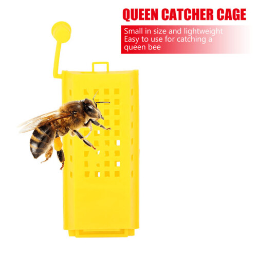 10Pcs Plastic Queen Bee Cages Transporting Catcher 2