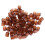 Queen Rearing Cup Kit Bee Cultivating Tool Plastic 13