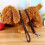 Pets Dog Training Leash Durable Leather Long 8