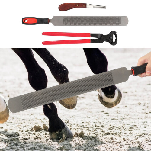 Professional Metal Shears Trimming Horse Equine 1