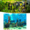 Coral Aquarium Background Underwater Poster Fish 11