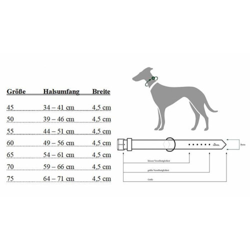 Hunter Collar - HUNTER - 64121 - Reflective - 45 cm - Large dog - Black 1