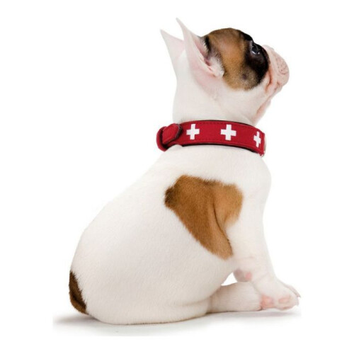 Hunter Collar - HUNTER - 41867 - 41-49 cm - Red / Black - Stainless steel 1