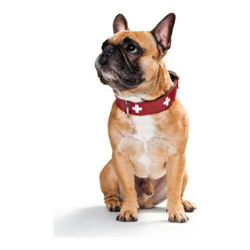Hunter Collar - HUNTER - 41867 - 41-49 cm - Red / Black - Stainless steel 2