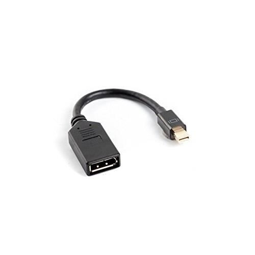 Lanberg AD-0003-BK mini Displayport (han) -> Displayport (hun) adapterkabel sort