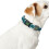 Hunter Collar - HUNTER - Hilo Vario Basic S - Orange - 30-43 cm - For Dog 4