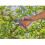 Gardena Pruner - GARDENA - PremiumCut Pro - Sharp blades - 24 mm diameter 4