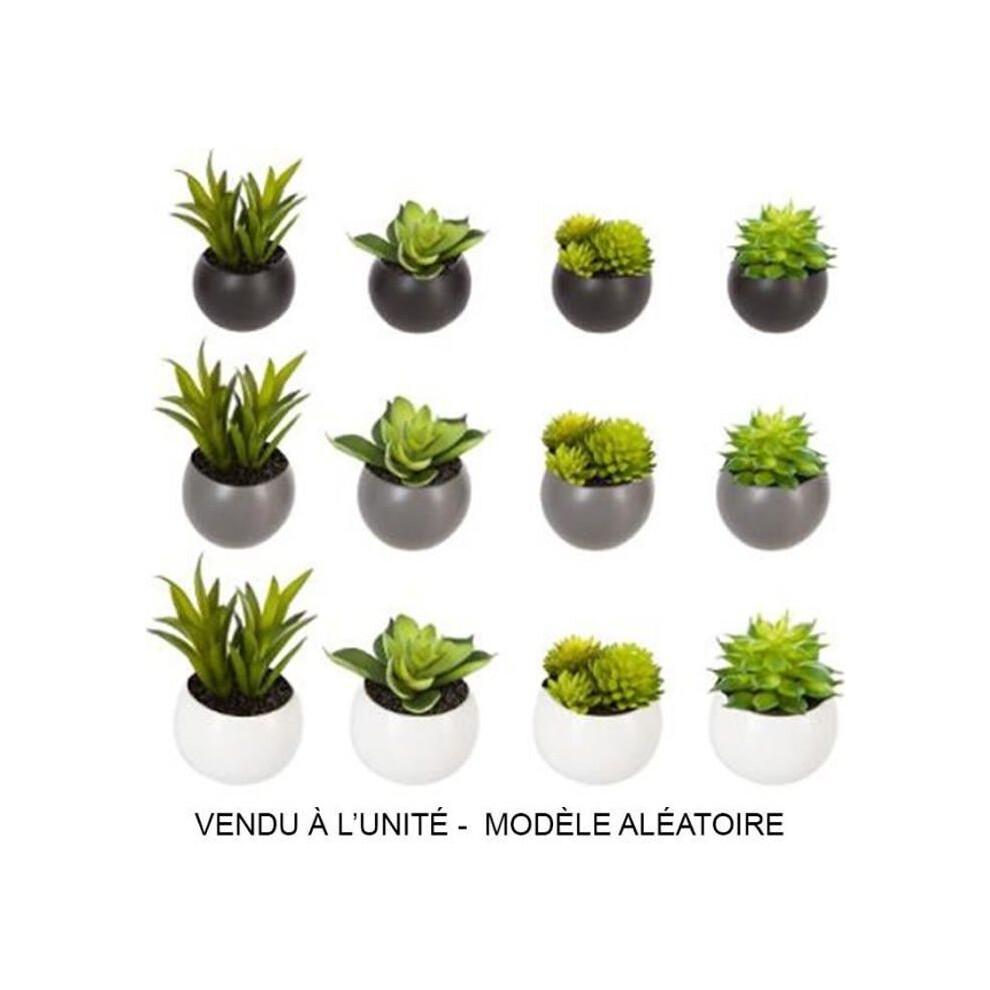 Planta Suculenta Artificial - Sin Nombre - 6Cm - Gris-image