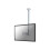 Ondersteuning plafond TV/Monitor NEWSTAR FPMA-C100SILVER - LCD-scherm 10"-30" - Zilver 2